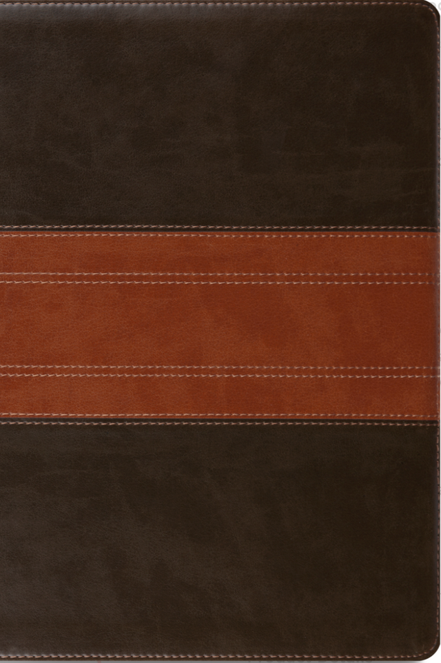 ESV Study Bible, Personal Size (Trutone, Forest/Tan, Trail Design) - ESV - 9781433588556