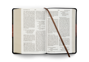 ESV Large Print Personal Size Bible (Trutone, Forest/Tan, Trail Design)