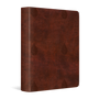 ESV Single Column Journaling Bible (TruTone, Chestnut, Leaves Design) (1018281426991)