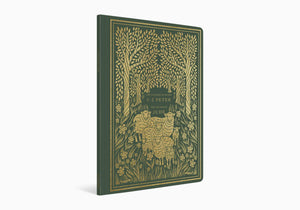 ESV Illuminated Scripture Journal: 1-2 Peter and Jude (Paperback)