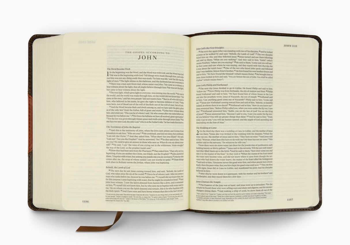ESV Single Column Journaling Bible (TruTone, Brown/Cordovan, Portfolio Design)