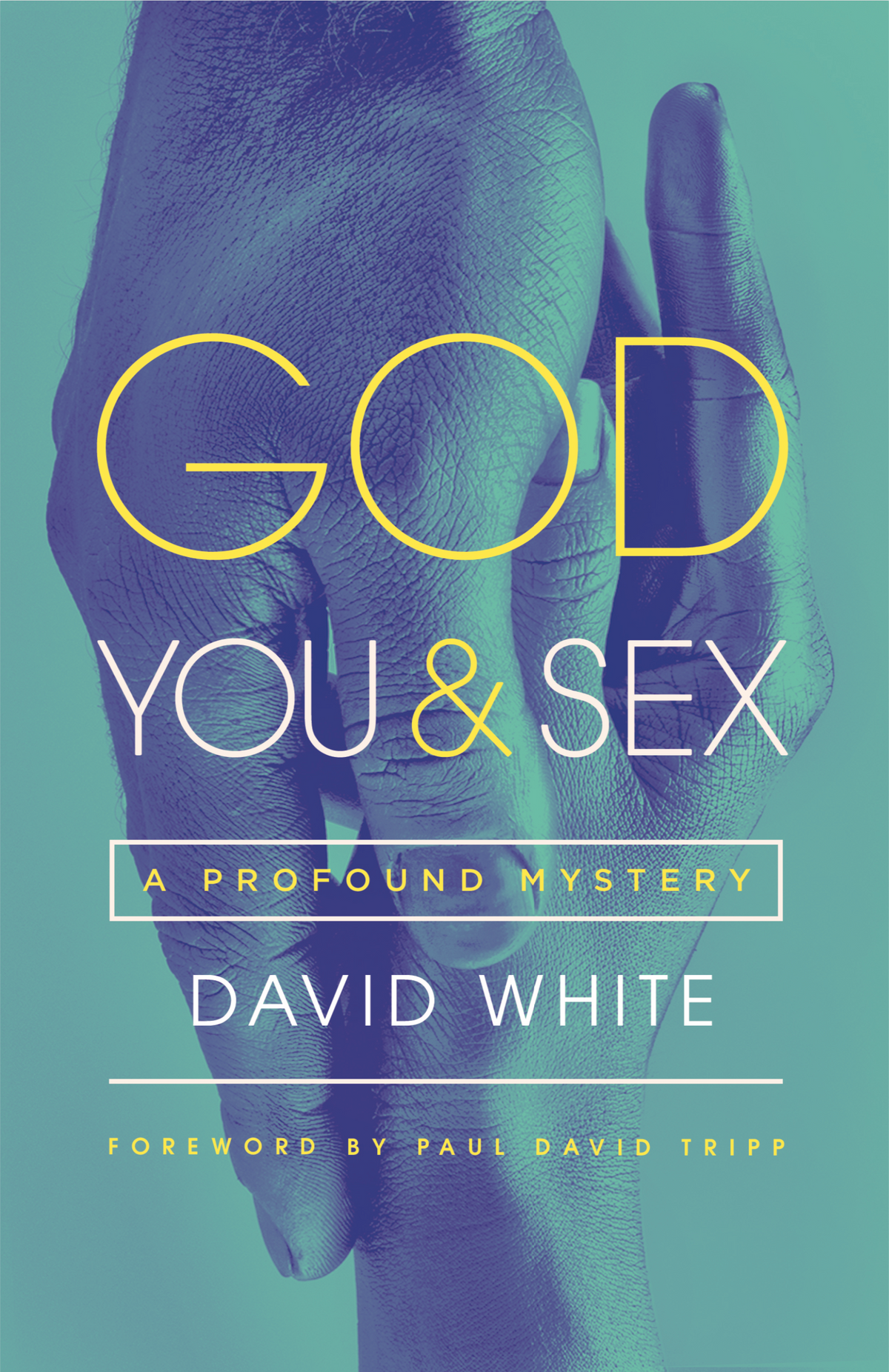 God, You, & Sex: A Profound Mystery by David White book cover