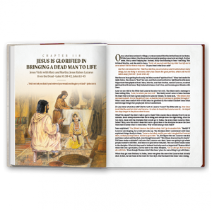 More Than a Story: Old and New Testament Bundle