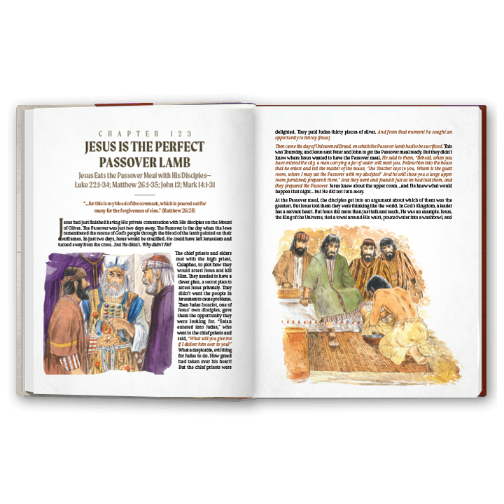 More Than A Story: New Testament
