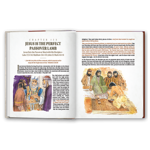 More Than A Story: New Testament