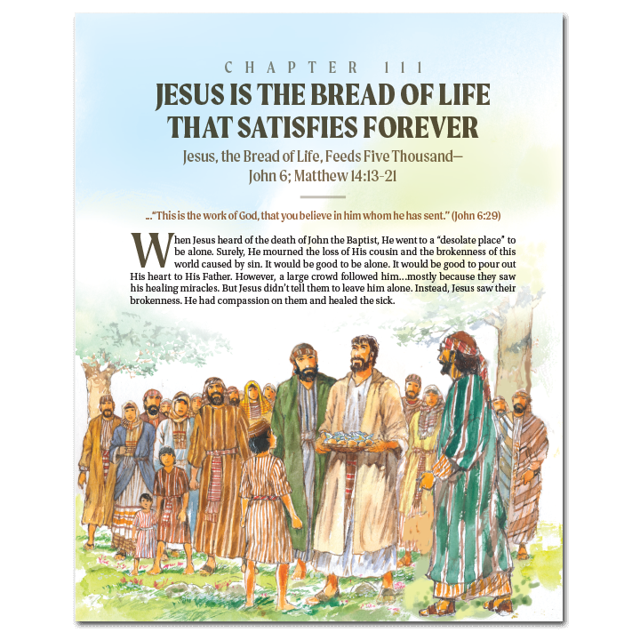 More Than a Story: Old and New Testament Bundle