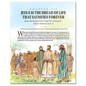 More Than a Story: Old and New Testament Bundle