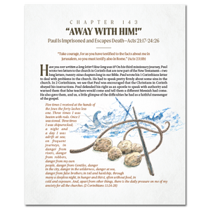 More Than a Story: Old and New Testament Bundle