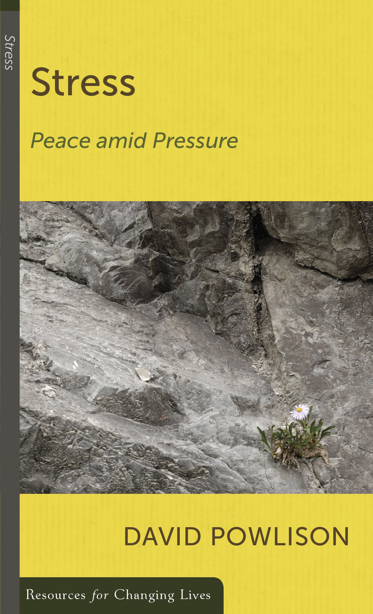 Stress: Peace amid Pressure (RCL Booklet) (CCEF) – Westminster