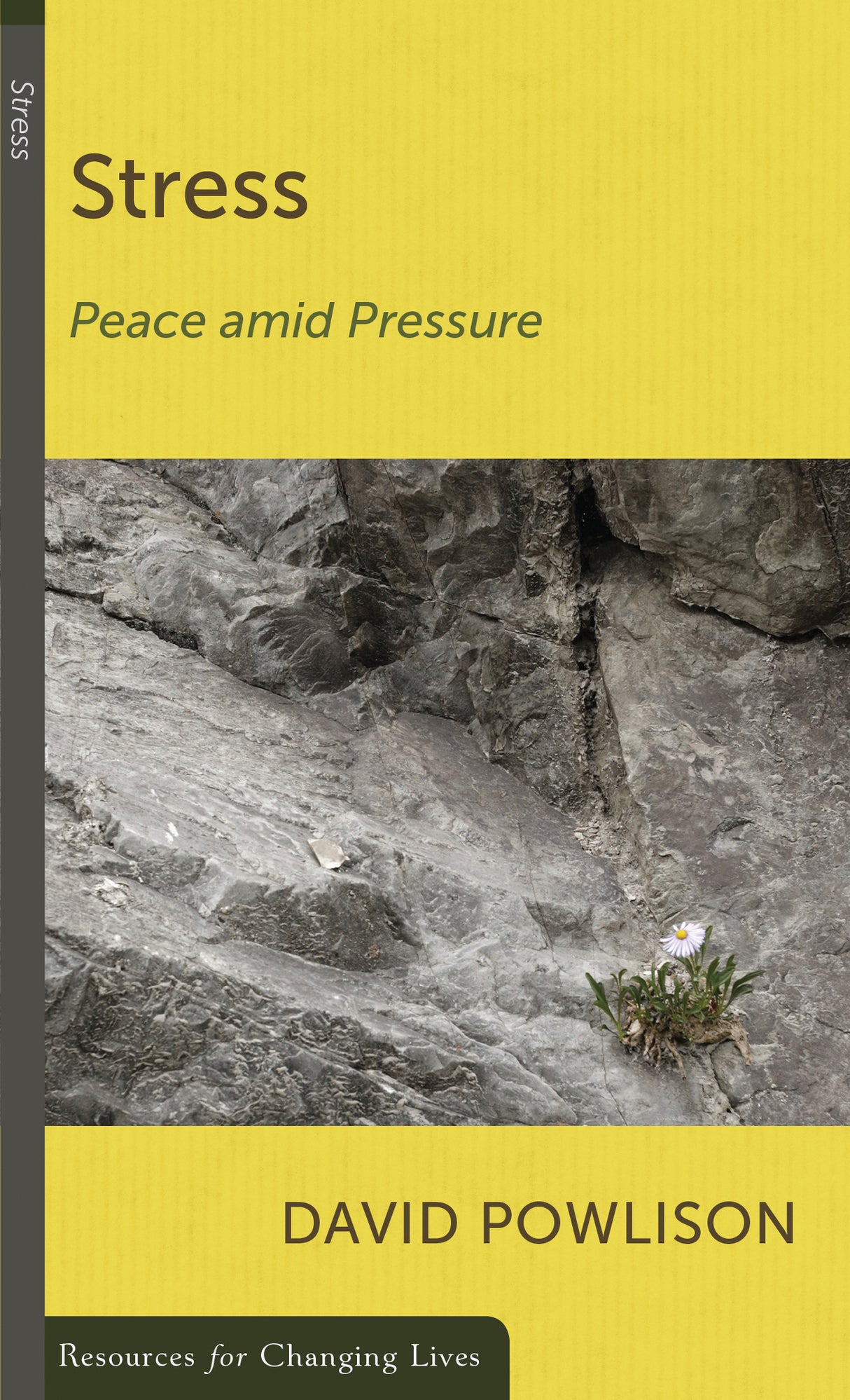 Stress: Peace amid Pressure (RCL Booklet) (CCEF) (1018185613359)