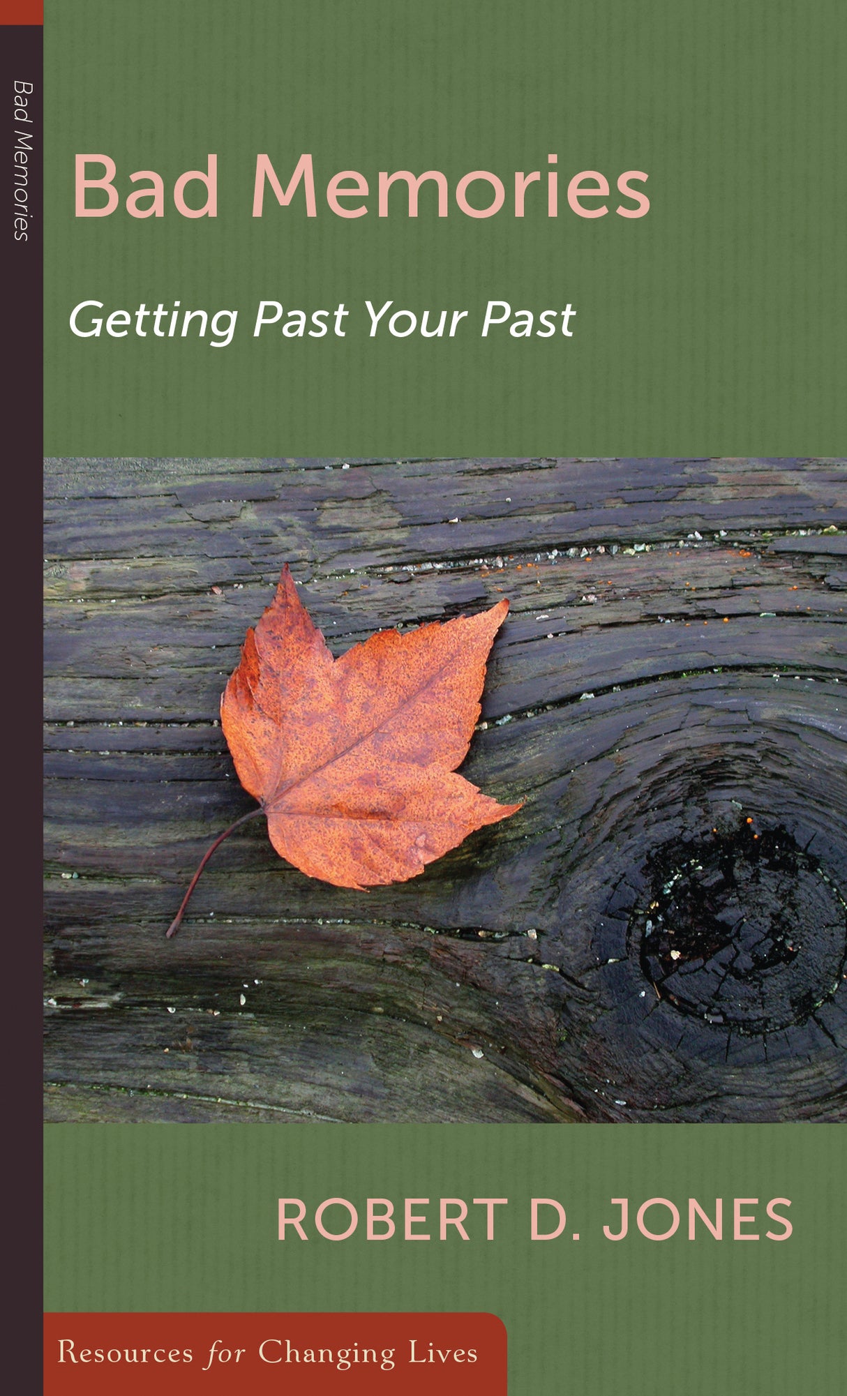 Bad Memories: Getting Past Your Past (RCL Booklet) (CCEF) (1018185678895)