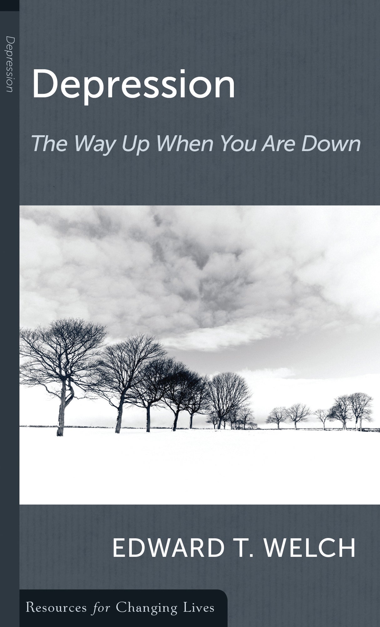Depression: The Way Up When You Are Down (RCL Booklet) (CCEF) (1018186694703)