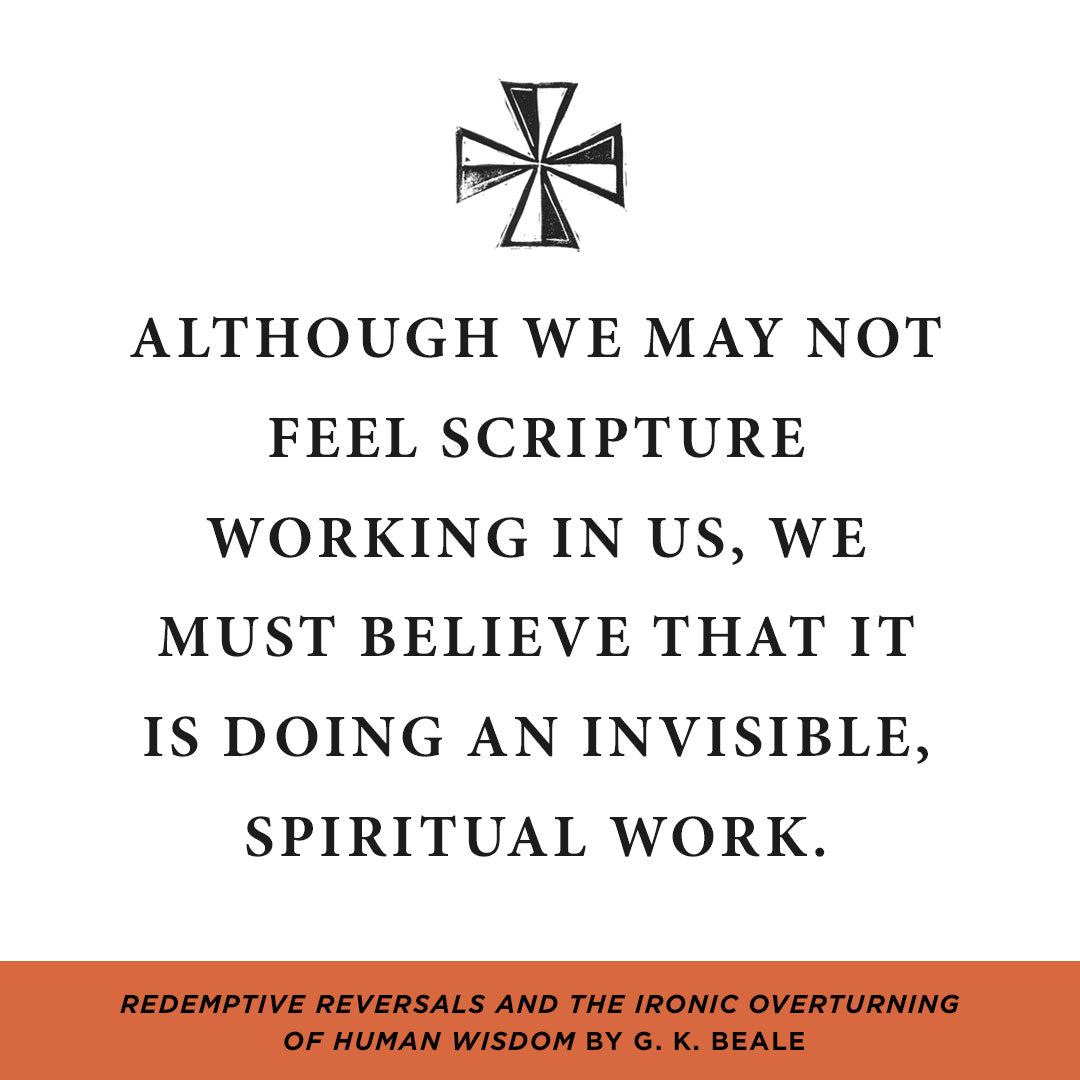 Redemptive Reversals and the Ironic Overturning of Human Wisdom (Short Studies in Biblical Theology)