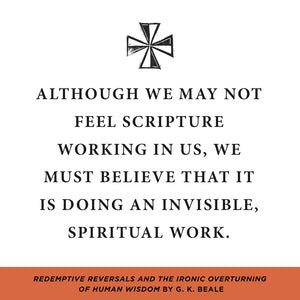 Redemptive Reversals and the Ironic Overturning of Human Wisdom (Short Studies in Biblical Theology)