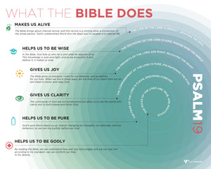 Visual Theology: Seeing and Understanding the Truth about God (w/Study Guide) (1016943706159)