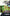 Bundle: The Vine Project and Trellis & The Vine